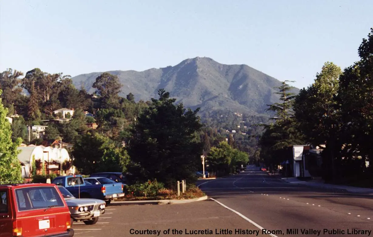 Looking toward Mt. Tamalpais over southern Marin
