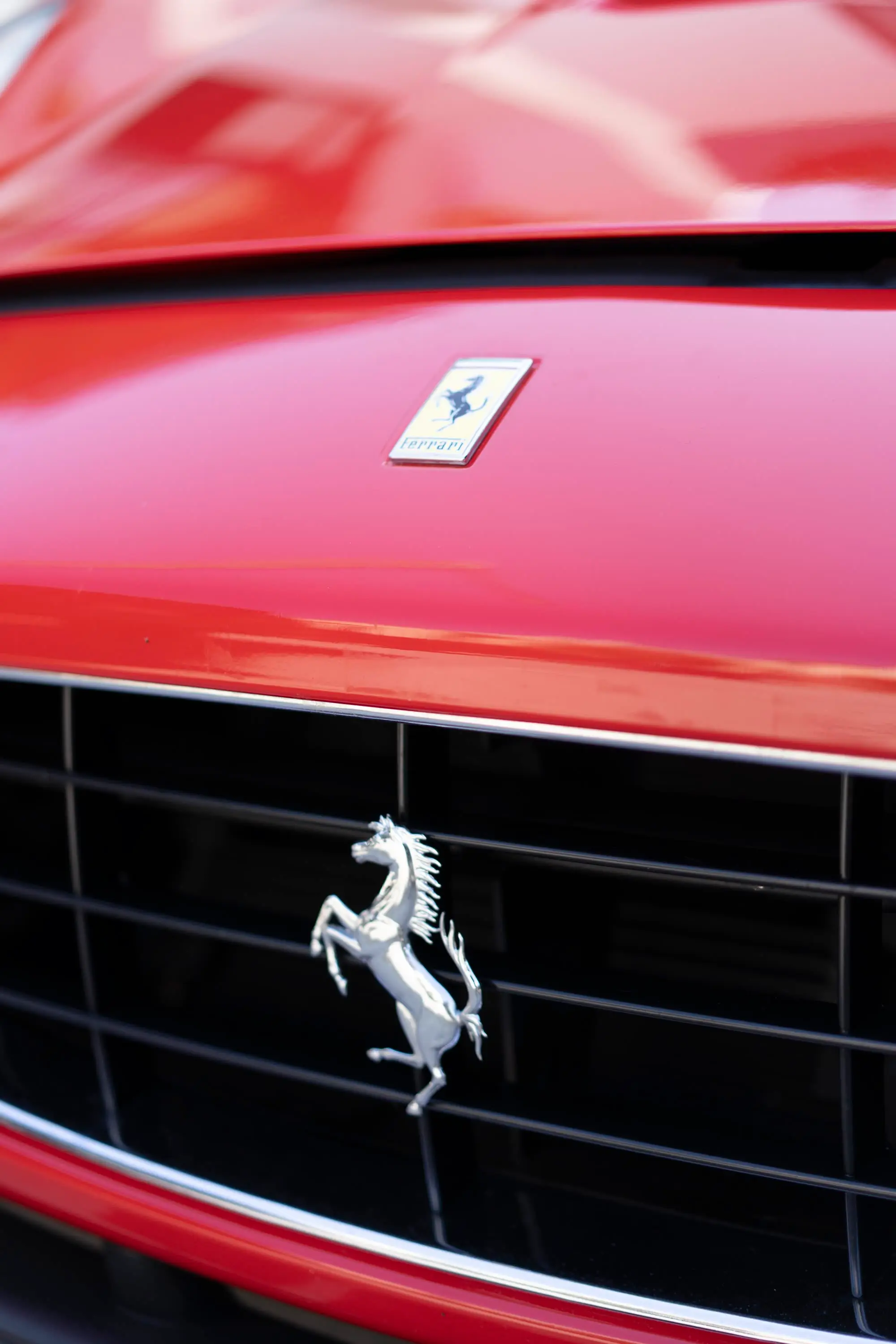Ferrari California hood badge and grille horse